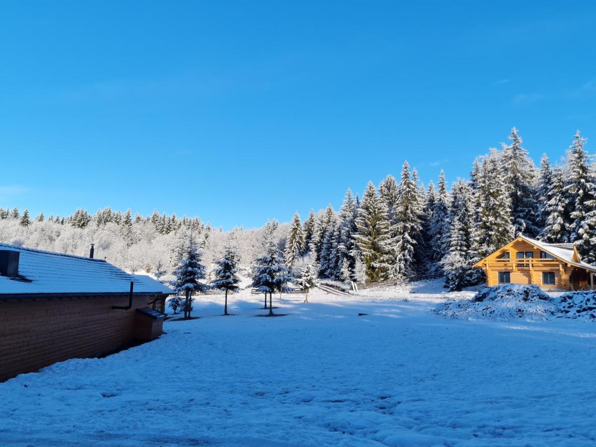 Harghita Log Houses Izvoare  Zewnętrze zdjęcie